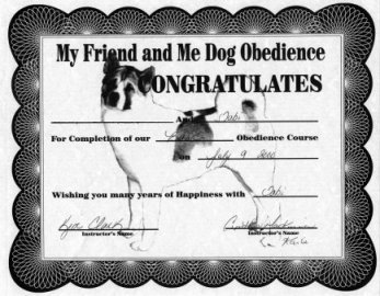 diploma
